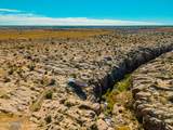000 Bell Cow Aka Rock Art Ranch Road - Photo 48