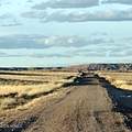 Lot 379 Carrizo Ranch - Photo 4