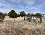 30386 Basconia Road - Photo 1