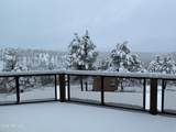 580 Kohners Ridge Drive - Photo 85