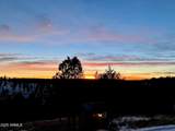 580 Kohners Ridge Drive - Photo 86