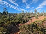 922 Old Settler Trail - Photo 10