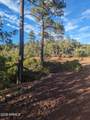 922 Old Settler Trail - Photo 15