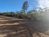 922 Old Settler Trail - Photo 17