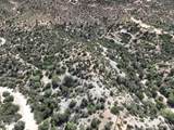 204-13-019 Lot Mackey Camp Area Road - Photo 13