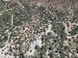 204-13-019 Lot Mackey Camp Area Road - Photo 19