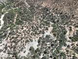 204-13-019 Lot Mackey Camp Area Road - Photo 28