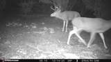 17375 Beale Wagon Road - Photo 19