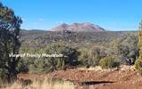 17375 Beale Wagon Road - Photo 23