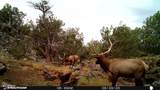 17375 Beale Wagon Road - Photo 34
