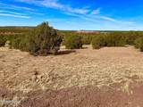 TBD Co Rd 8269 Lots 150 & 151 - Photo 16