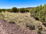 TBD Co Rd 8269 Lots 150 & 151 - Photo 4