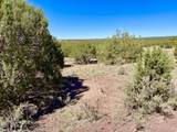 TBD Co Rd 8269 Lots 150 & 151 - Photo 7