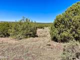 TBD Co Rd 8269 Lots 150 & 151 - Photo 8