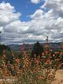 18XXX Model Creek Road - Photo 11
