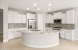 7833 Cactus Wren Way - Photo 8