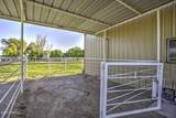 39657 Foxtail Lane - Photo 75