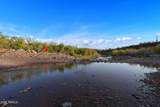 89395 Aravaipa Road - Photo 4