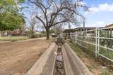 8902 Irene Lane - Photo 15