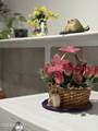 4813 Krall Street - Photo 41