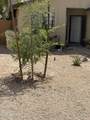 4813 Krall Street - Photo 5