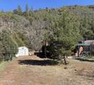 1241 Paint Pony Drive - Photo 4