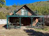 1241 Paint Pony Drive - Photo 5