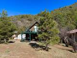 1241 Paint Pony Drive - Photo 9