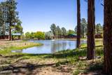 2655 Lodge Loop - Photo 37