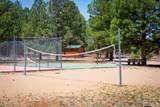 2655 Lodge Loop - Photo 52