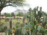 4303 Cactus Road - Photo 23
