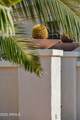 13436 La Vina Drive - Photo 10