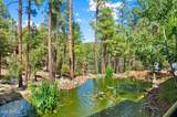 5201 Yellow Dog Road - Photo 46