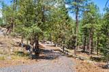 5201 Yellow Dog Road - Photo 54