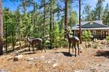 5201 Yellow Dog Road - Photo 56