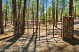 5201 Yellow Dog Road - Photo 57