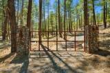 5201 Yellow Dog Road - Photo 58