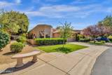 10591 Saddlehorn Drive - Photo 8