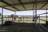 2503 Lamb Road - Photo 43