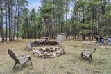 5348 Forest Service 701 Road - Photo 37