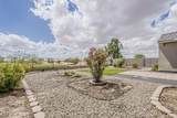 44587 Palo Amarillo Road - Photo 47