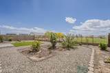 44587 Palo Amarillo Road - Photo 50