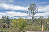 2501 Feather Plume Court - Photo 4
