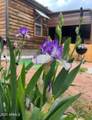 221 Standage Drive - Photo 46