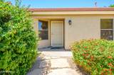 8331 Plata Avenue - Photo 3