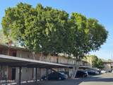 6125 Indian School Road - Photo 15