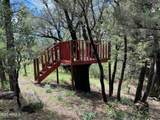 7816 Forest Service Road - Photo 34