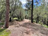 7816 Forest Service Road - Photo 43
