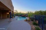 5520 Desert Forest Trail - Photo 16