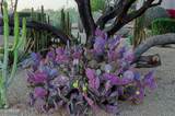 5520 Desert Forest Trail - Photo 53